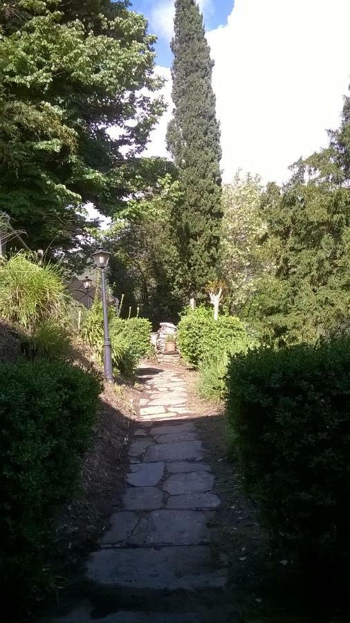 Stazzema Casa Emiliaヴィラ エクステリア 写真