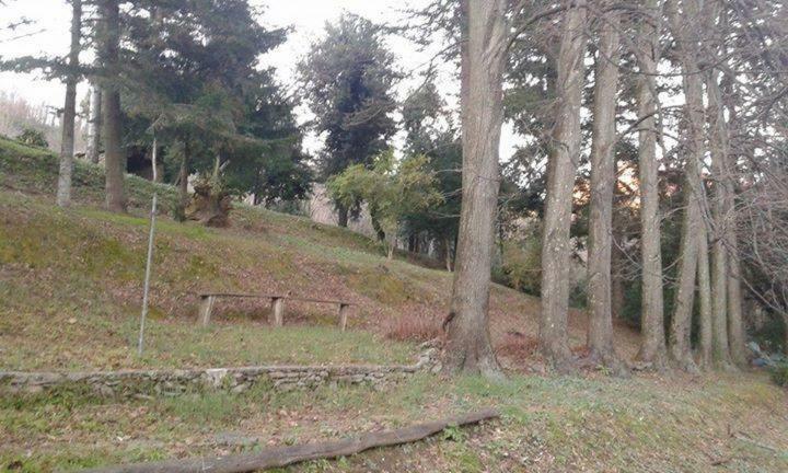 Stazzema Casa Emiliaヴィラ エクステリア 写真